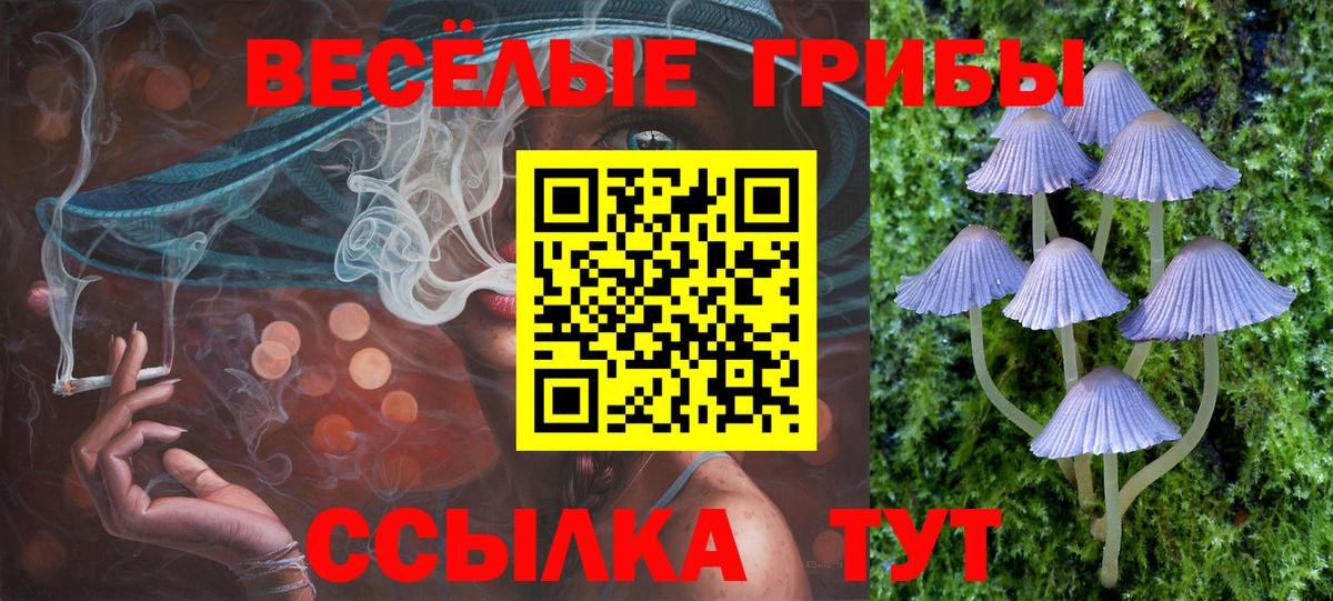 Псилоцибиновые грибы Cubensis Донской