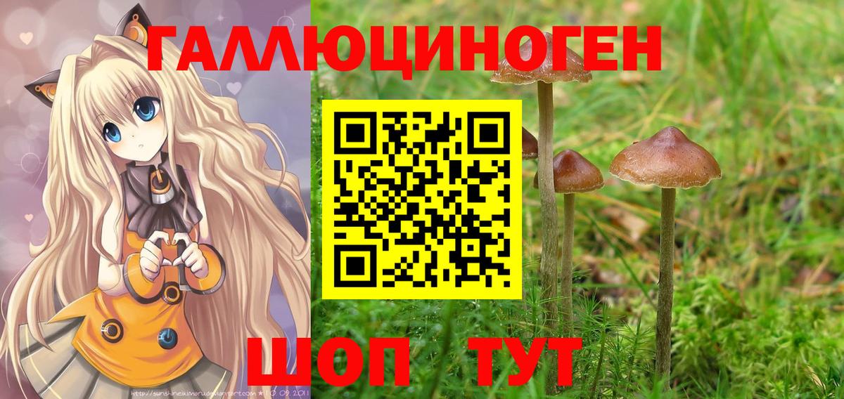 Донской  Галлюциногенные грибы Magic Shrooms  Вход с VPN 